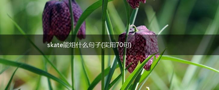 skate能组什么句子(实用70句),第1张
