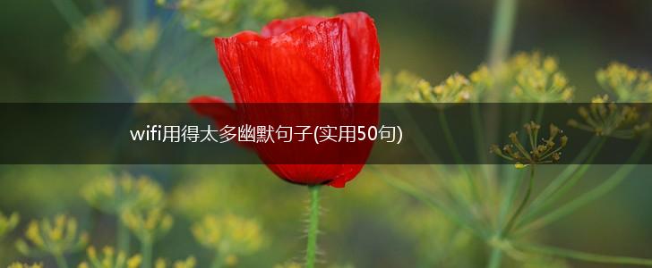 wifi用得太多幽默句子(实用50句),第1张