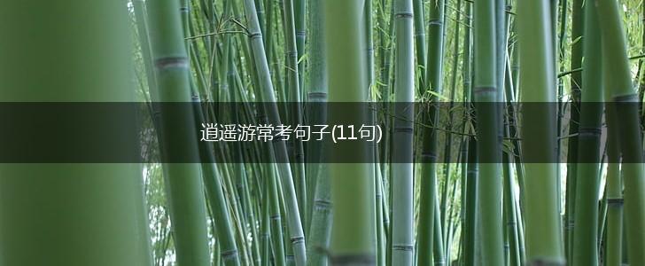 逍遥游常考句子(11句),第1张
