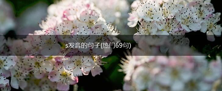 s发音的句子(热门69句),第1张