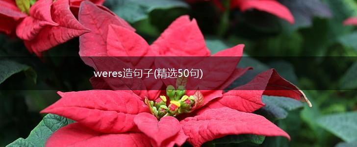 weres造句子(精选50句),第1张