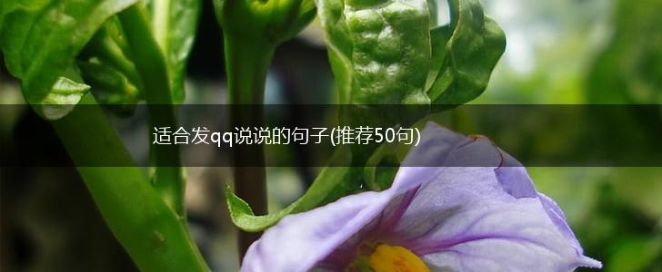 适合发qq说说的句子(推荐50句),第1张