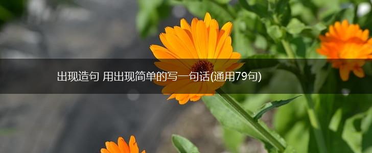 出现造句 用出现简单的写一句话(通用79句),第1张