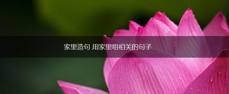 家里造句 用家里组相关的句子,第1张