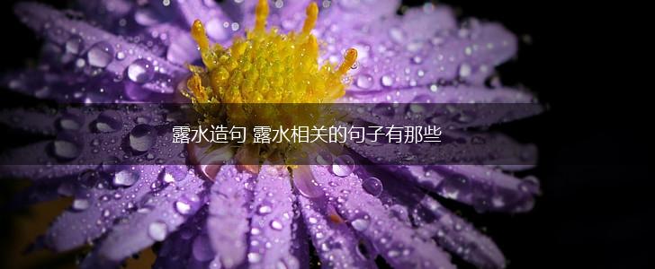露水造句 露水相关的句子有那些,第1张