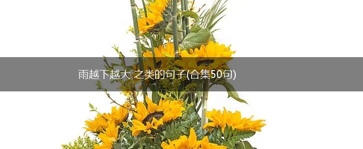 雨越下越大 之类的句子(合集50句),第1张