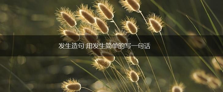 发生造句 用发生简单的写一句话,第1张