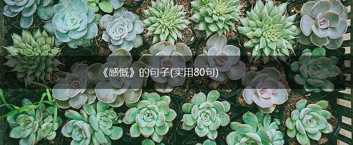 《感慨》的句子(实用80句),第1张