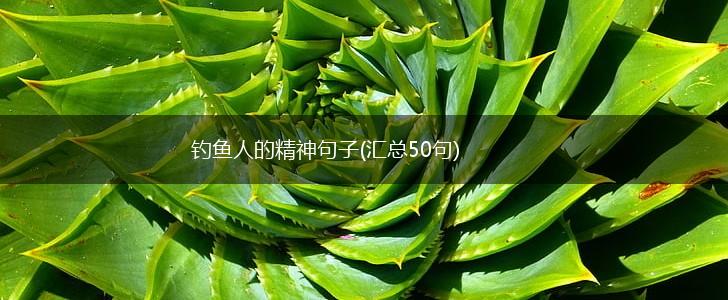 钓鱼人的精神句子(汇总50句),第1张