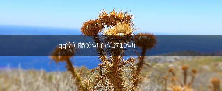 qq空间搞笑句子(优选10句),第1张