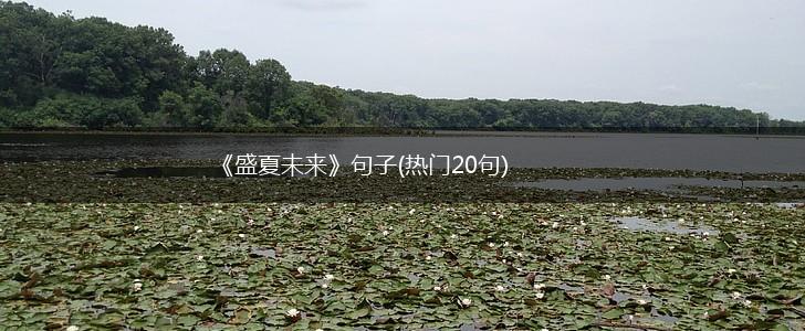 《盛夏未来》句子(热门20句),第1张
