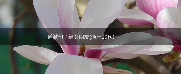 道歉句子给女朋友(通用10句),第1张
