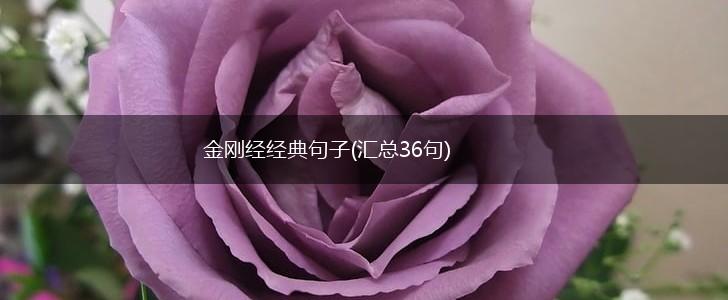 金刚经经典句子(汇总36句),第1张