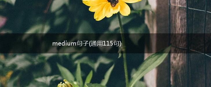 medium句子(通用115句),第1张