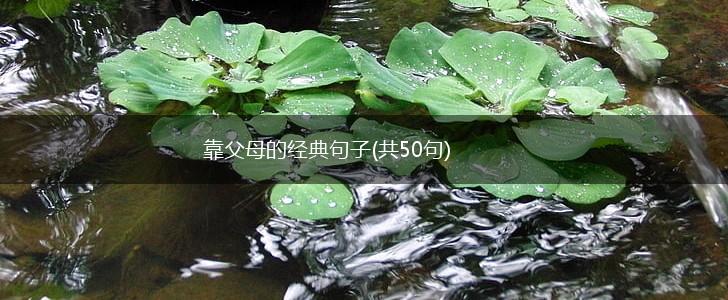 靠父母的经典句子(共50句),第1张