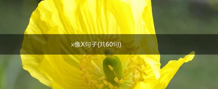 x像X句子(共60句),第1张