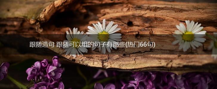 跟随造句 跟随可以组的句子有那些(热门66句),第1张