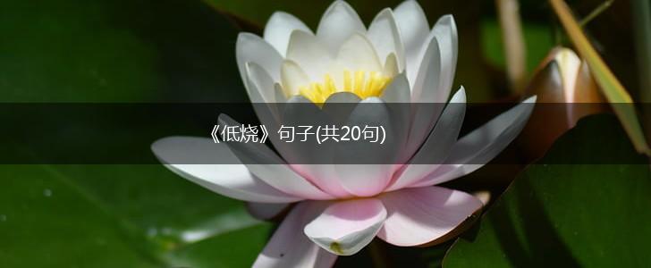 《低烧》句子(共20句),第1张