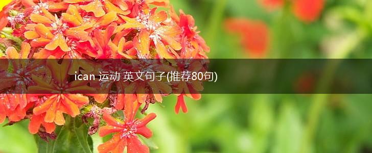 ican 运动 英文句子(推荐80句),第1张