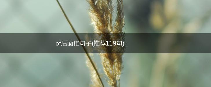 of后面接句子(推荐119句),第1张