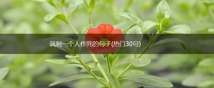 讽刺一个人作死的句子(热门30句),第1张