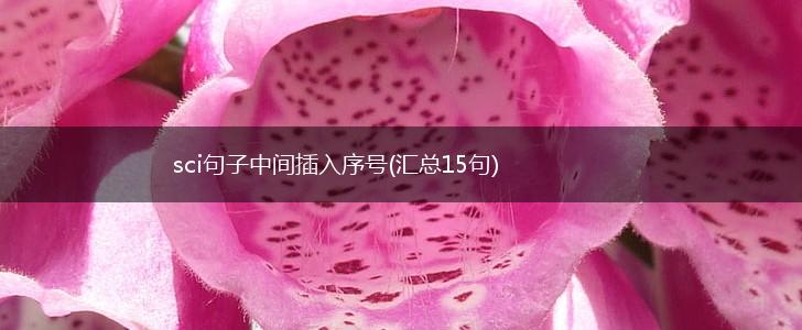 sci句子中间插入序号(汇总15句),第1张