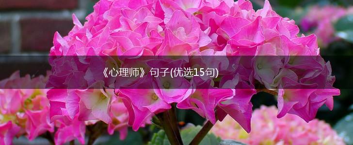 《心理师》句子(优选15句),第1张
