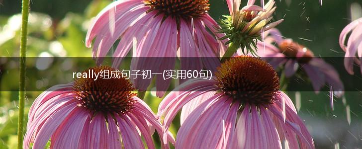 really组成句子初一(实用60句),第1张