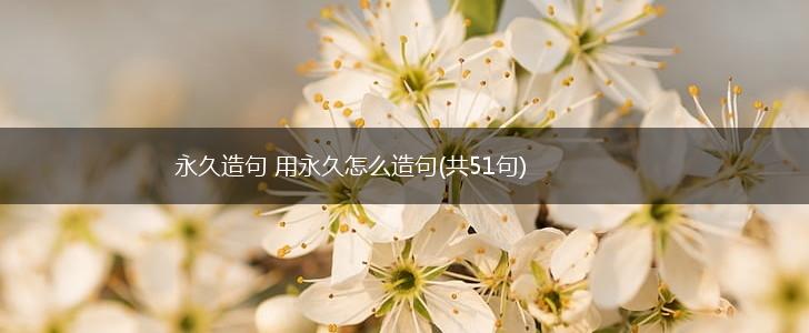 永久造句 用永久怎么造句(共51句),第1张