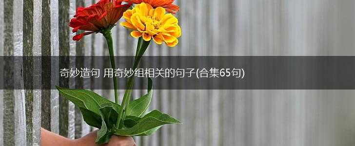 奇妙造句 用奇妙组相关的句子(合集65句),第1张