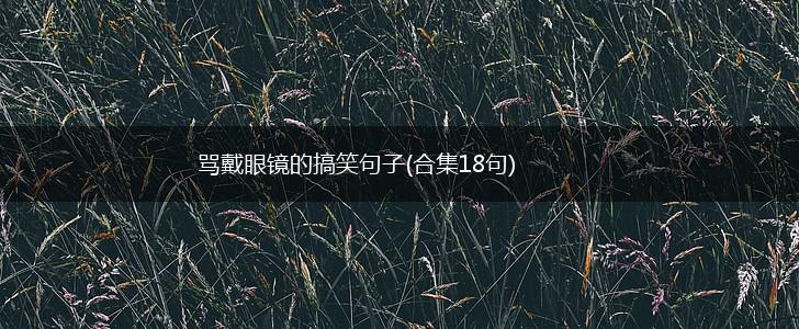 骂戴眼镜的搞笑句子(合集18句),第1张
