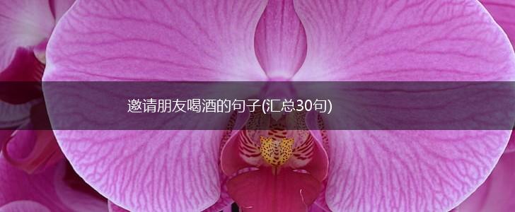 邀请朋友喝酒的句子(汇总30句),第1张