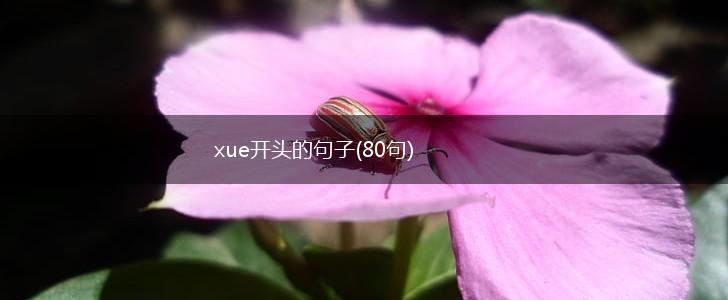 xue开头的句子(80句),第1张