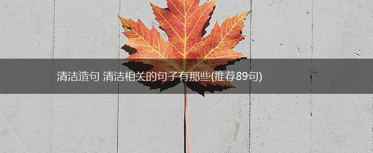 清洁造句 清洁相关的句子有那些(推荐89句),第1张