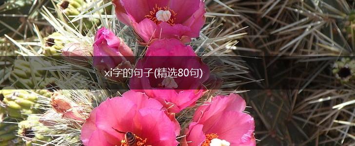 xi字的句子(精选80句),第1张