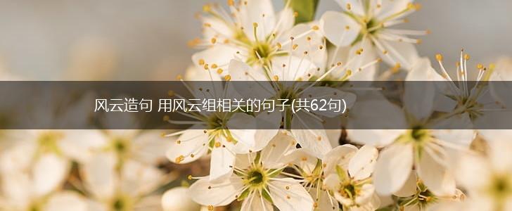 风云造句 用风云组相关的句子(共62句),第1张