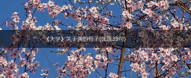 《大学》关于善的句子(优选39句),第1张