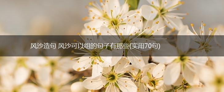 风沙造句 风沙可以组的句子有那些(实用70句),第1张