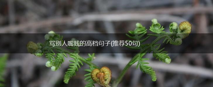 骂别人嘴贱的高档句子(推荐50句),第1张