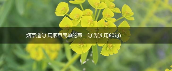 烟草造句 用烟草简单的写一句话(实用80句),第1张