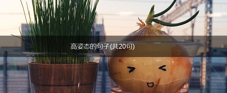 高姿态的句子(共20句),第1张