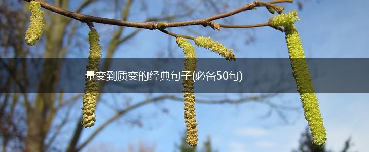 量变到质变的经典句子(必备50句),第1张