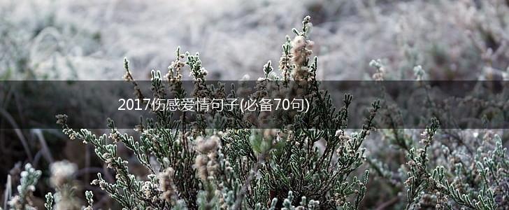 2017伤感爱情句子(必备70句),第1张