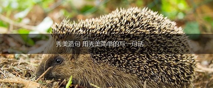 秀美造句 用秀美简单的写一句话,第1张