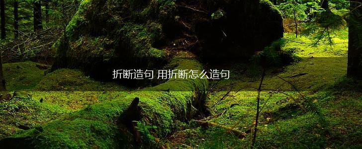 折断造句 用折断怎么造句,第1张