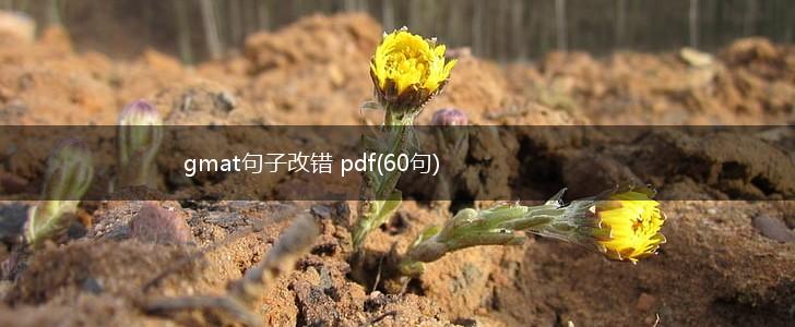 gmat句子改错 pdf(60句),第1张