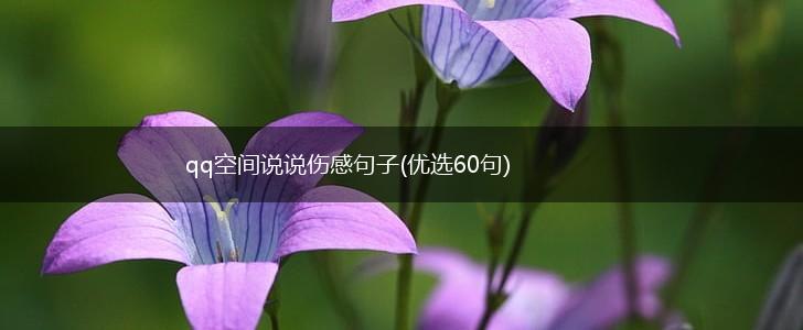 qq空间说说伤感句子(优选60句),第1张