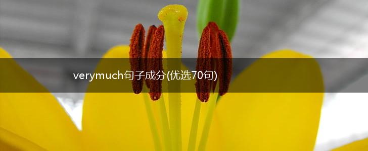 verymuch句子成分(优选70句),第1张