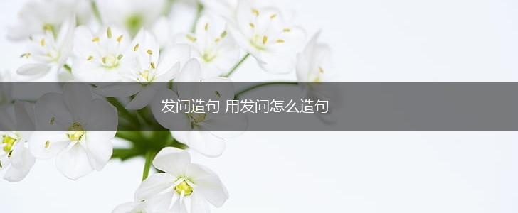 发问造句 用发问怎么造句,第1张