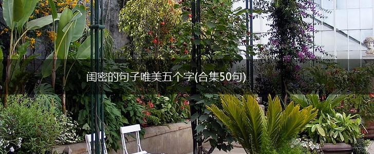 闺密的句子唯美五个字(合集50句),第1张
